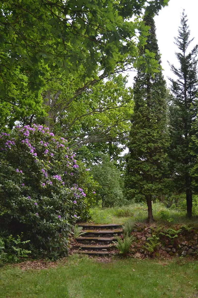 The garden — 7