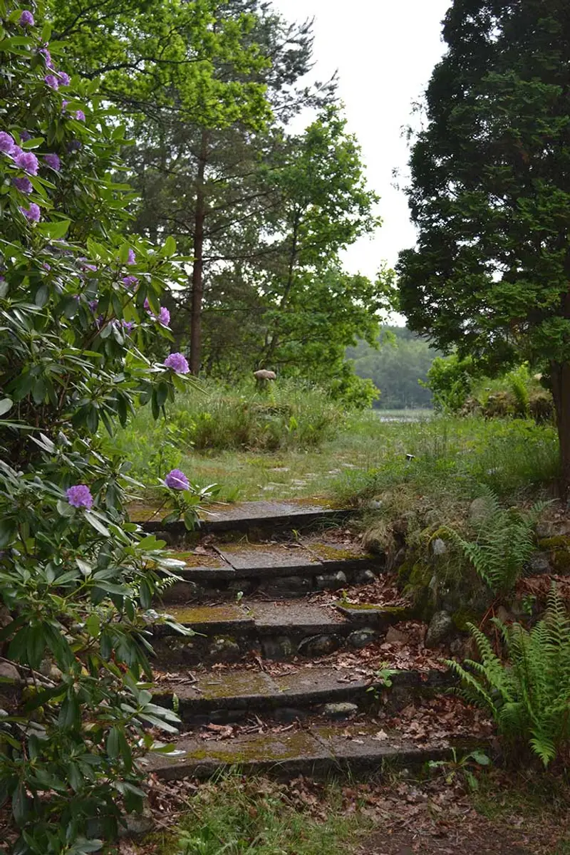 The garden — 8