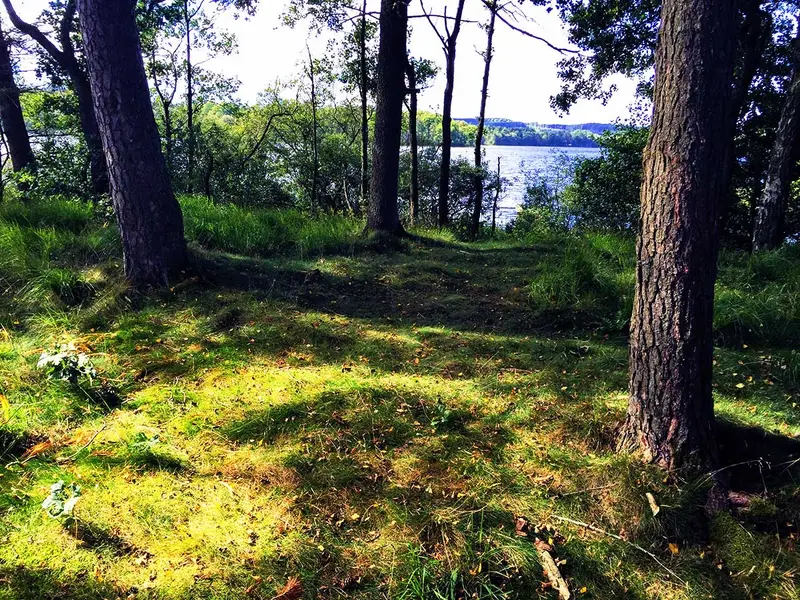 Summer by the lake — 2