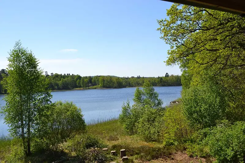 Summer by the lake — 1