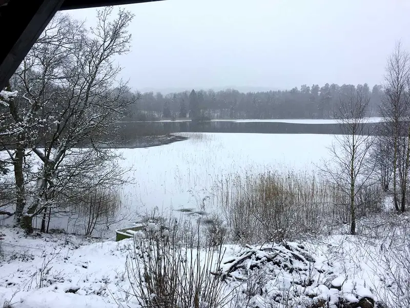 Winter — 2